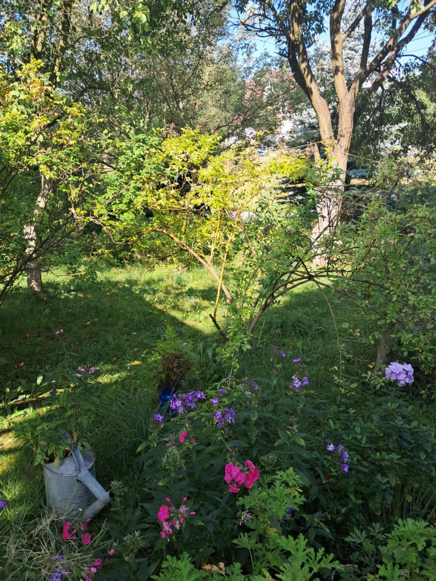 Apartament Przytulia Blekitny Kopaniec Zewnętrze zdjęcie